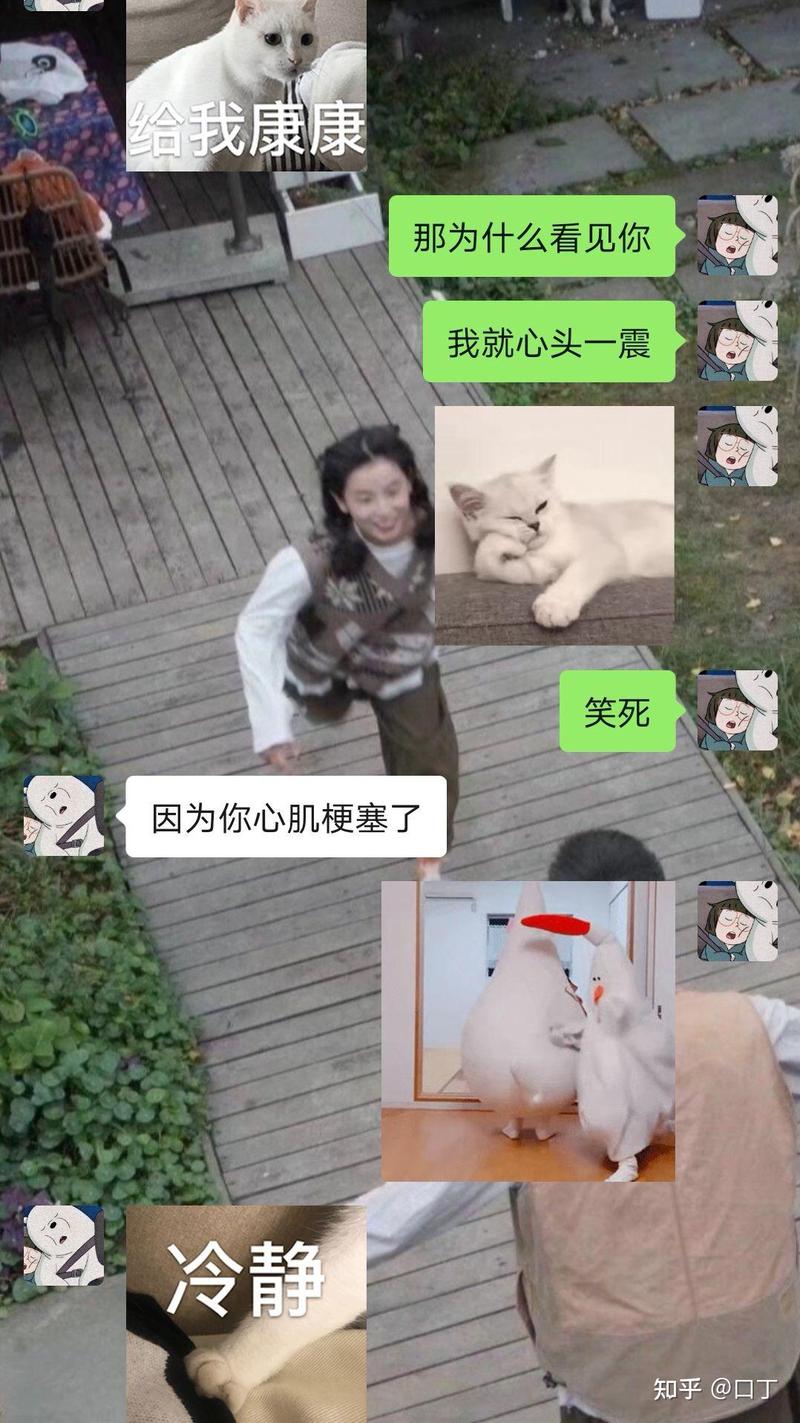 土味情话答案丨那些简单却直击心灵的浪漫表达 土味情话答案丨那些简单却直击心灵的浪漫表达