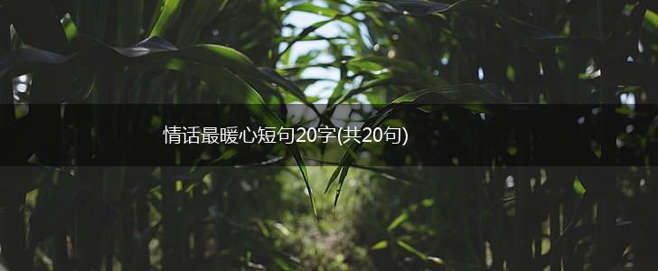 梦里的温柔·那些带