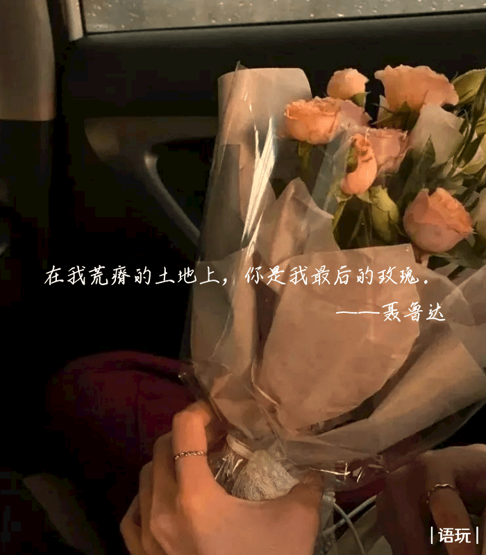 史上最动人的十句情话：温柔、俏皮、深情，每一句都让人心动