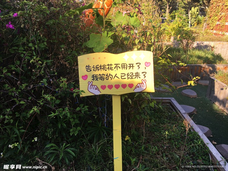 在土味情话的田野上,遇见最真的爱 在土味情话的田野上,遇见最真的爱