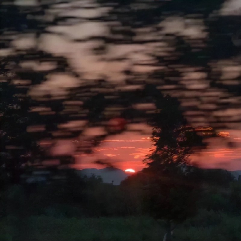 爱是这世间最温柔的哲理丨关于陪伴与余生