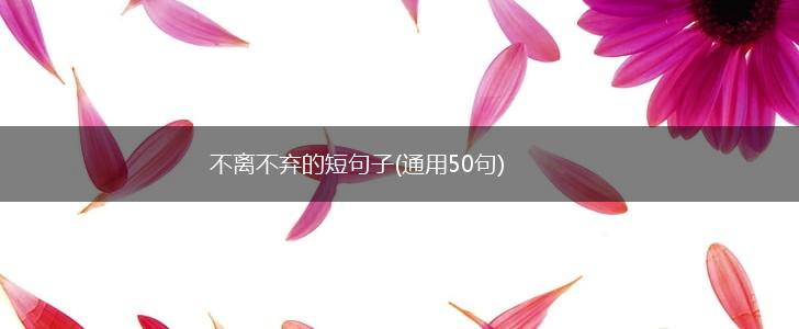 不离不弃的10句话，藏在日常里