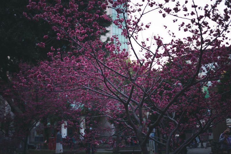 春游的意外惊喜