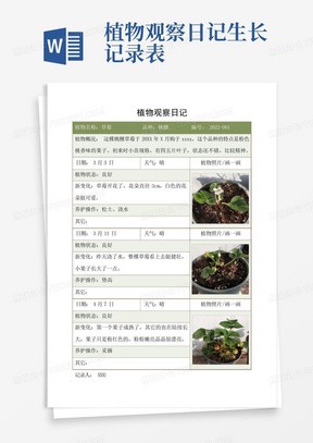 阳台上的小惊喜：我的植物日记