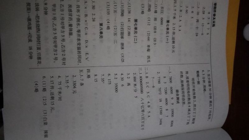 今天我终于会了“分一分”！