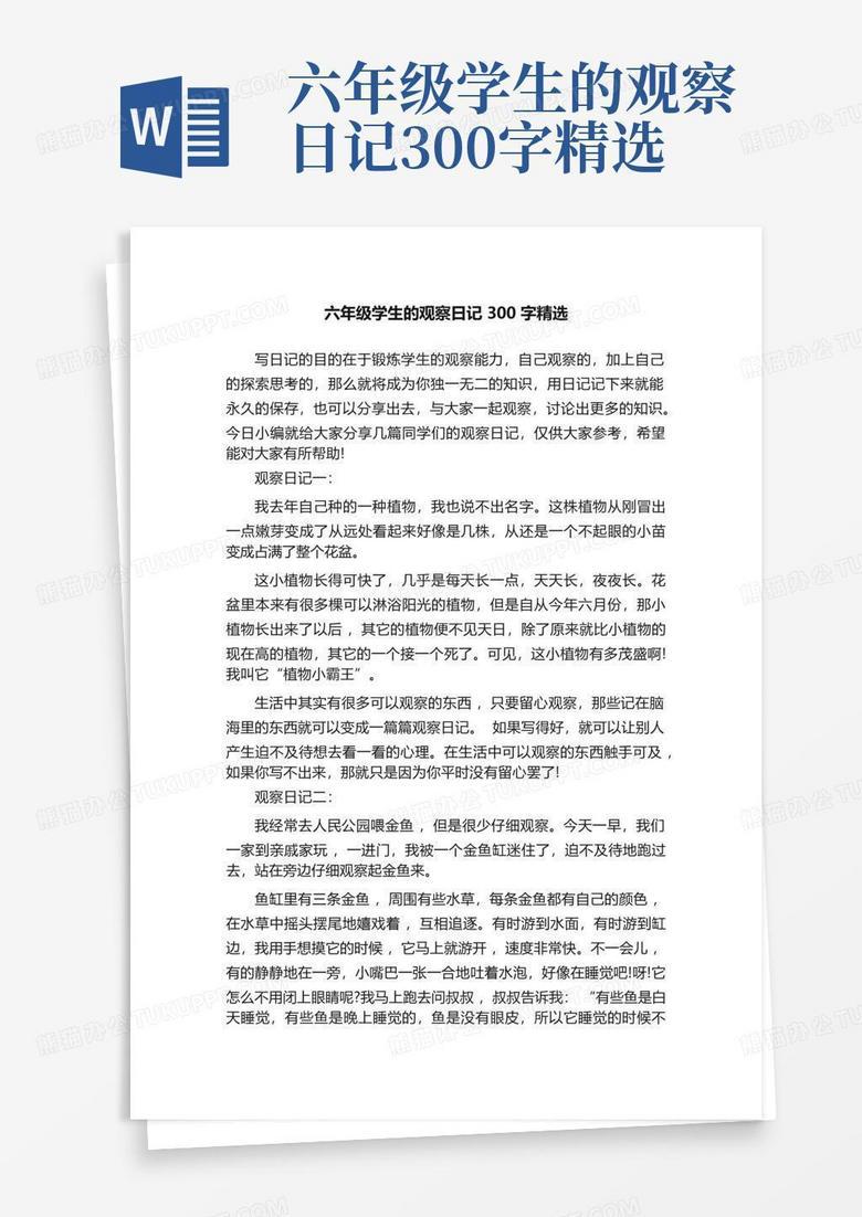 楼下那棵老槐树的早晨