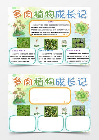 观察植物生长过程日记：从一粒种子到绿意盎然