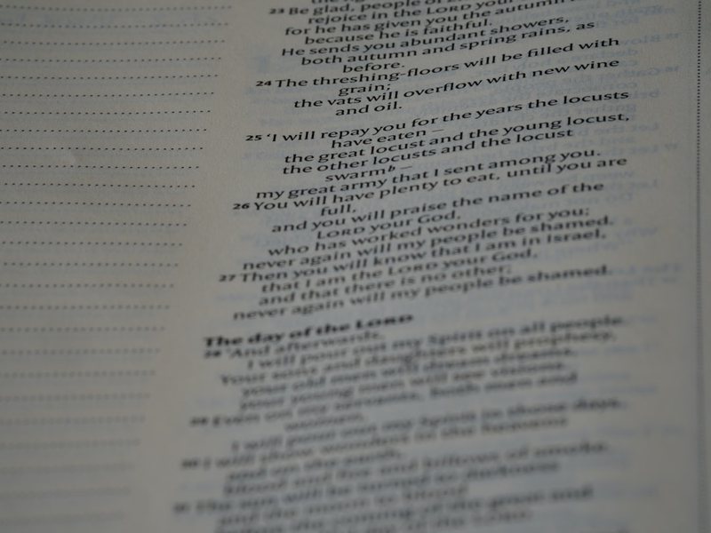 忙碌一天的小确幸！