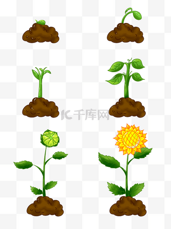 那些绿意盎然的成长故事