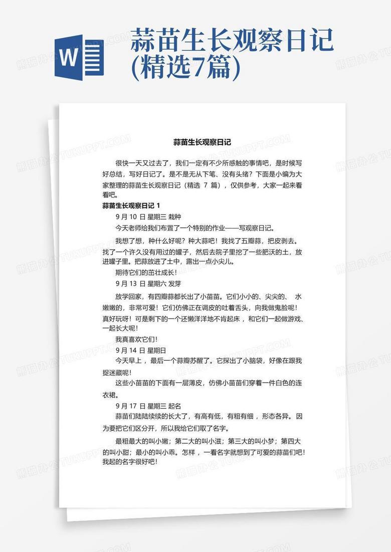 从一颗蒜头到一盘菜：我的阳台蒜苗生长观察日记