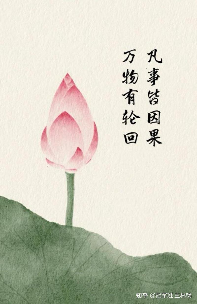 发烧第三天，我终于知道什么叫“人间真实”