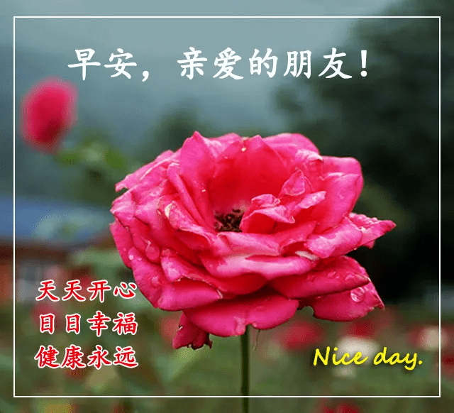 晨光初照,一句早安,是给你的温柔 晨光初照,一句早安,是给你的温柔