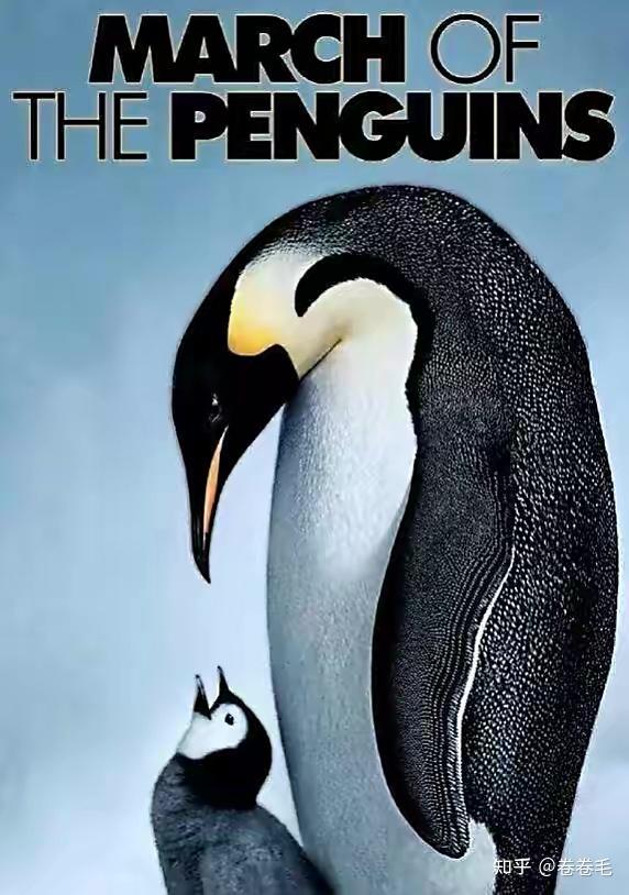 帝企鹅日记：冰雪世界里的温暖故事