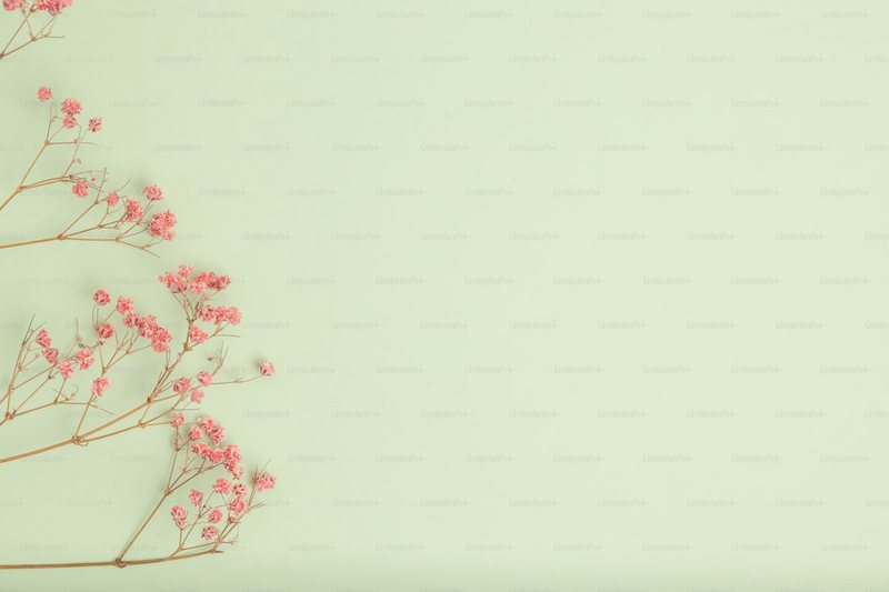 日语情话最浪漫短句：用心说的每句话都温柔