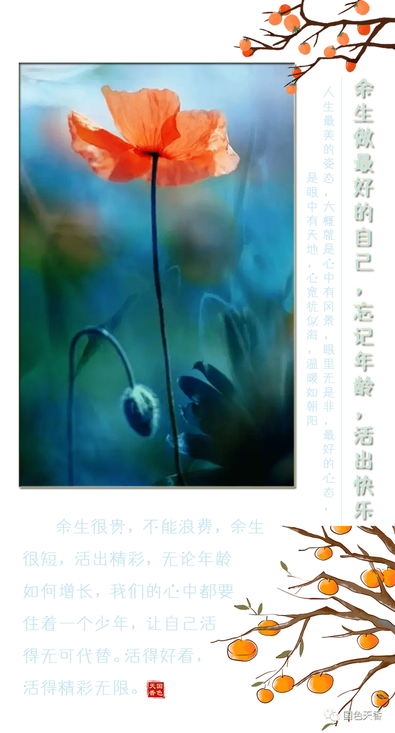 余生的诗篇，八字情话的流转