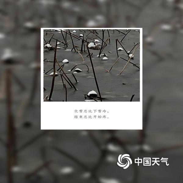 云朵轻拂，雨滴细语——天气里的浪漫情话