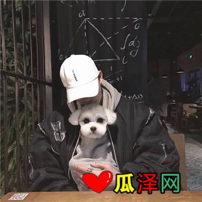 数字背后的爱恋：会计的温柔情话