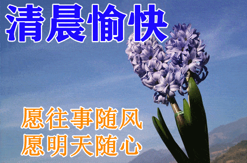 晨曦中的温柔告白：早上情话的甜蜜韵味