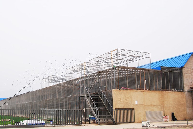 心间流淌的旋律:四季恋歌,只为你而奏 心间流淌的旋律:四季恋歌,只为你而奏