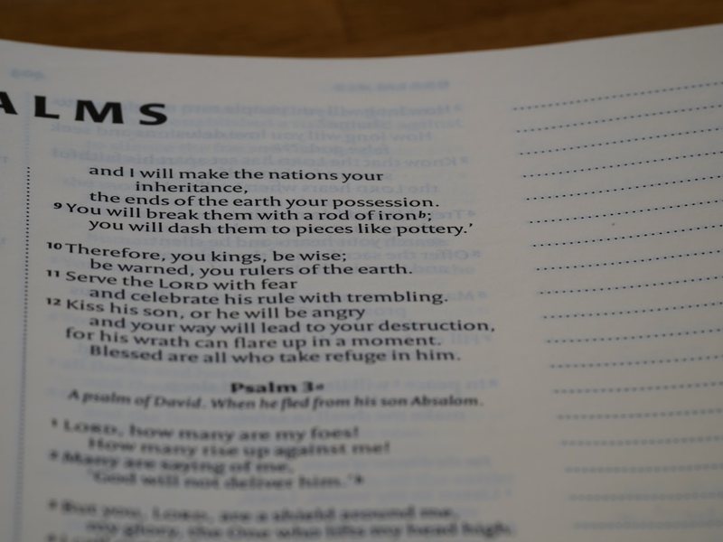 今天我学会了新知识 今天我学会了新知识