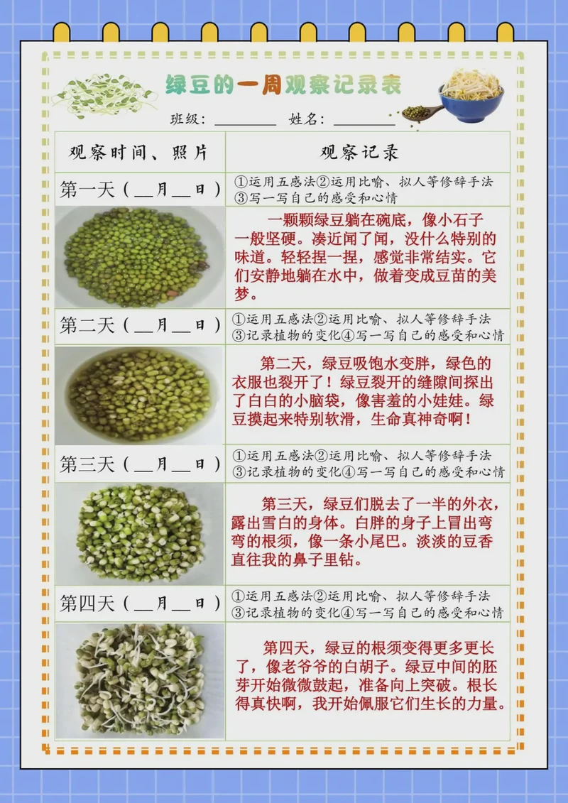 绿豆芽的生长日记:从种子到嫩芽的奇妙旅程 绿豆芽的生长日记:从种子到嫩芽的奇妙旅程