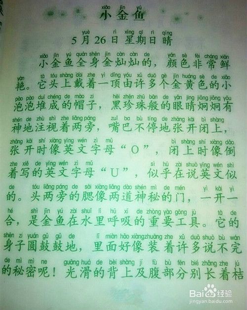 在自然的画布上描绘生活——我的观察日记之旅