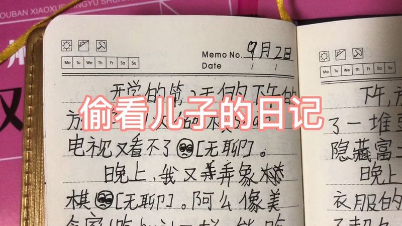 阳光灿烂的星期天