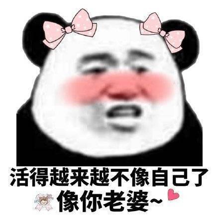 用心编织的浪漫告白丨个性网情话短语