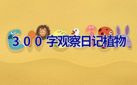 小区里的银杏树 小区里的银杏树