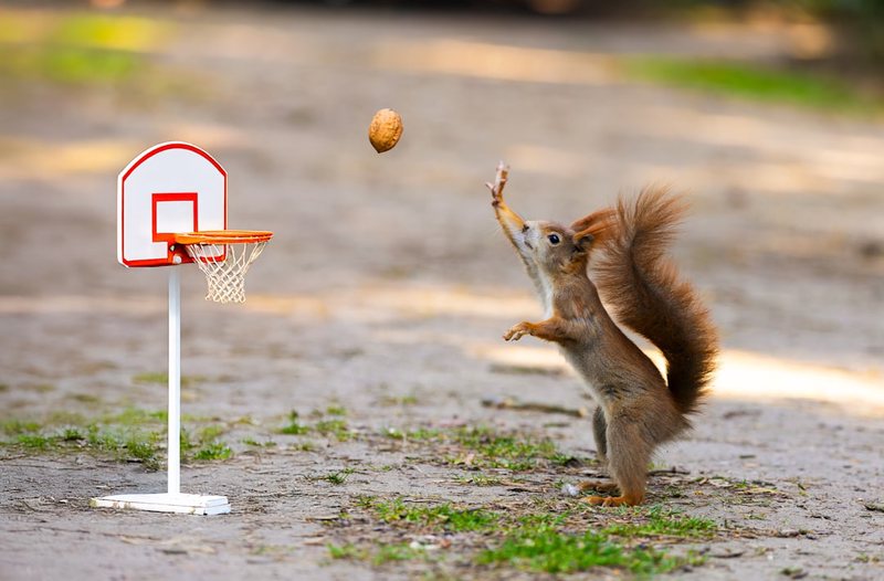 今天，我终于没在球场上被“暴打”了