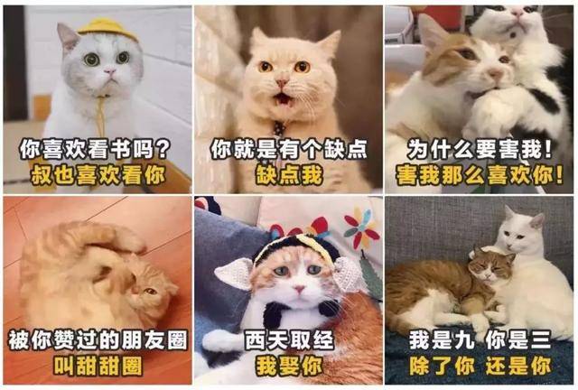 月光下的誓言：给亲爱的你，最温柔的告白