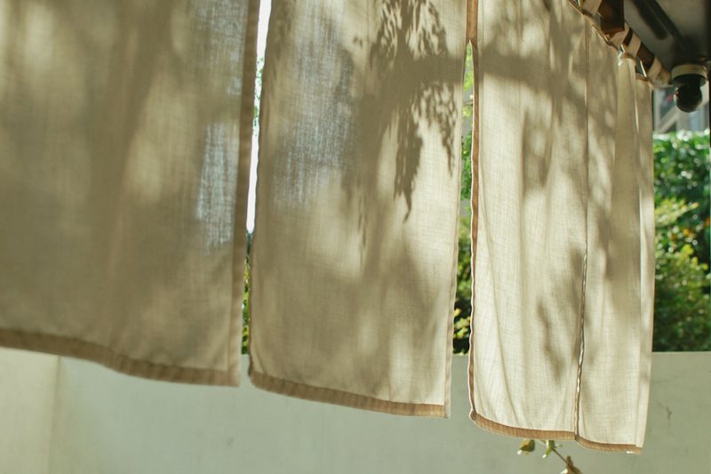 豆芽成长日记：一天的观察