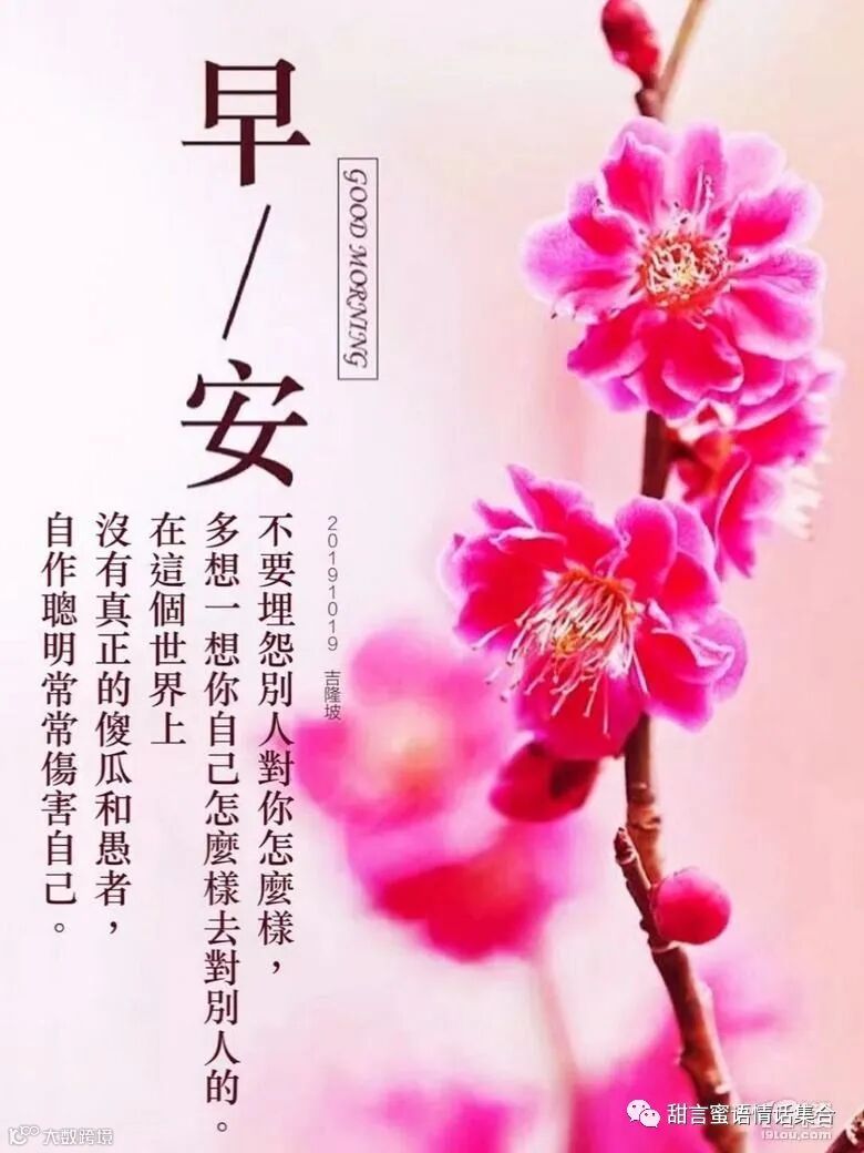 晨光中的温柔承诺