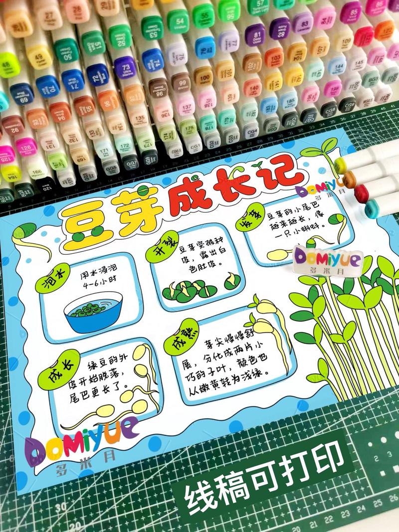 豆芽成长记观察日记:从种子到绿芽的奇妙旅程 豆芽成长记观察日记:从种子到绿芽的奇妙旅程