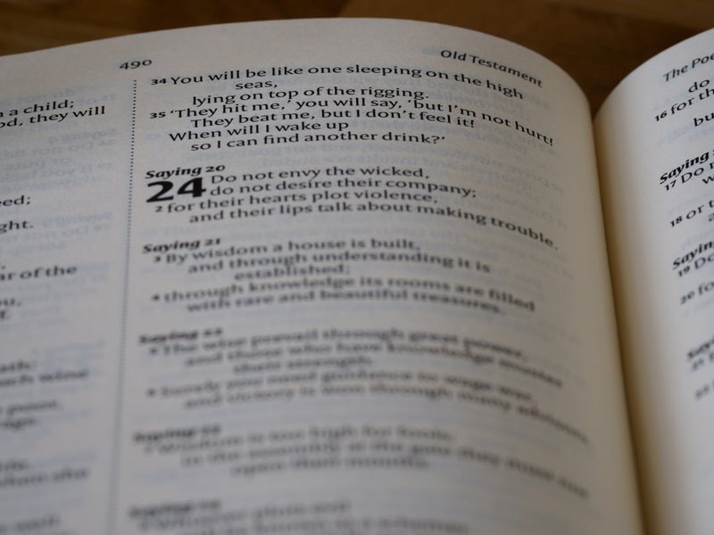 午后时光，五十字的静谧