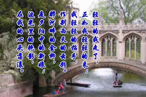 用诗意编织的告白：那些浪漫的情话