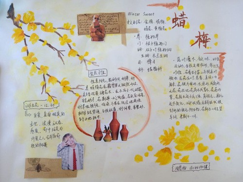 绿叶之舞:植物观察日记 绿叶之舞:植物观察日记