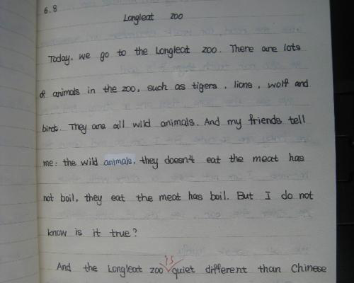 日记新篇章,从何开头? 日记新篇章,从何开头?