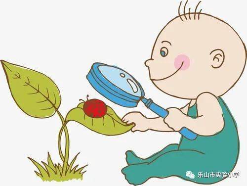 种下一粒种子，收获一份成长