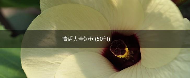 时光流转，情话永恒丨—感动诗句情话短句集