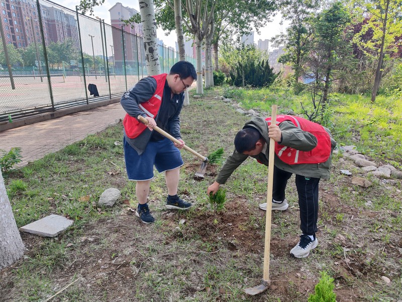 春天里的植树日