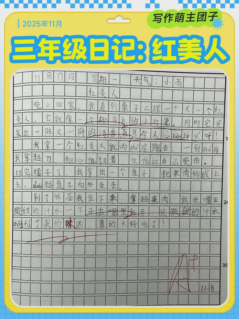 我和我的小兔子朋友 我和我的小兔子朋友