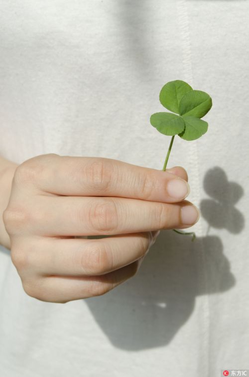 情话里的幽默套路，甜蜜又搞笑，让你笑出声来！