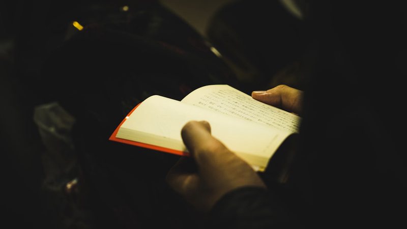 阴天里的小确幸！