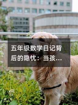 窗外那片星空下的梦想