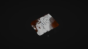 今天的一百块钱