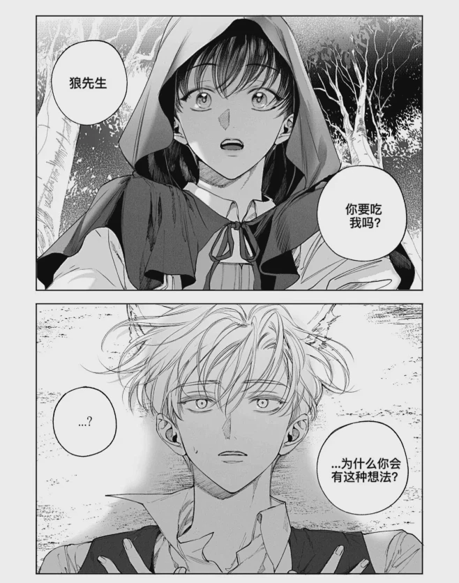 小兔子与大灰狼：一场奇妙的相遇