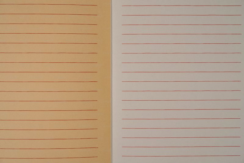 今天我终于写对了日记！