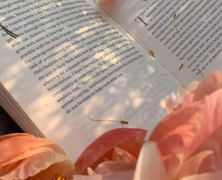 在字里行间，我写给你的情话