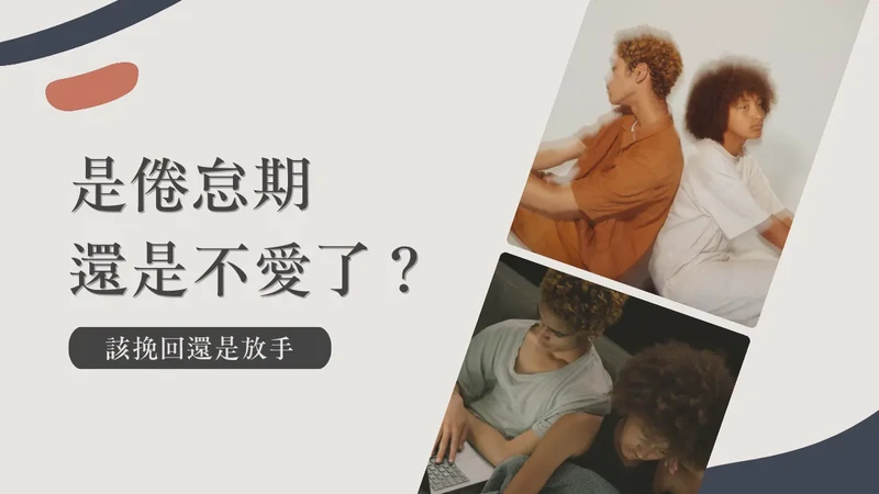 时光的温柔，重逢的旋律